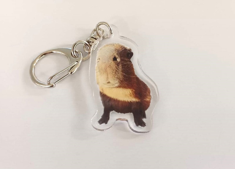 祦񥢥륭ۥ֤¤ꥫԥХ