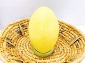 �쥢�ο����ò����䡪