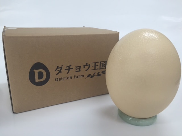 ダチョウ王国 ａランク卵殻