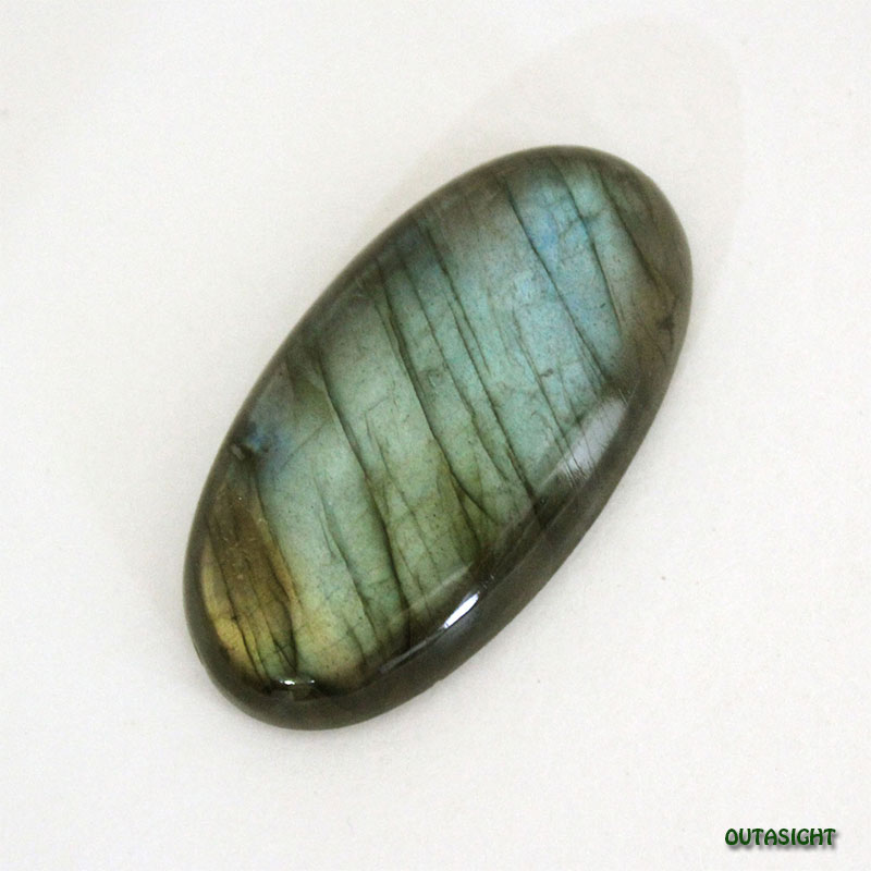 KhK-01》超レアScindapsus exotica“hologram”variegataスキンダプサス