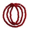 �ۥ磻�ȥϡ��ġʥۥ磻�ȥϡ��ȡ˥ӡ�������Ϣ������ƥ�������WHAQ-09