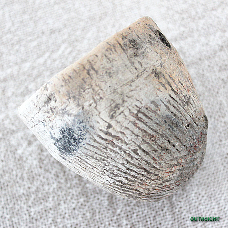 �ǾƤ������Ѵ�Х�����󡡥���ƥ�������������TAO-66