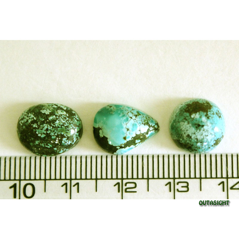 ���٥��󥿡����������롼����ŷ���С�3�İ��� IST-217