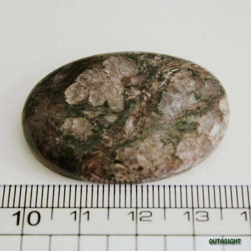 ������饤��/Charolite���롼����ŷ���С�IST-01��