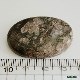 ������饤��/Charolite���롼����ŷ���С�IST-01��