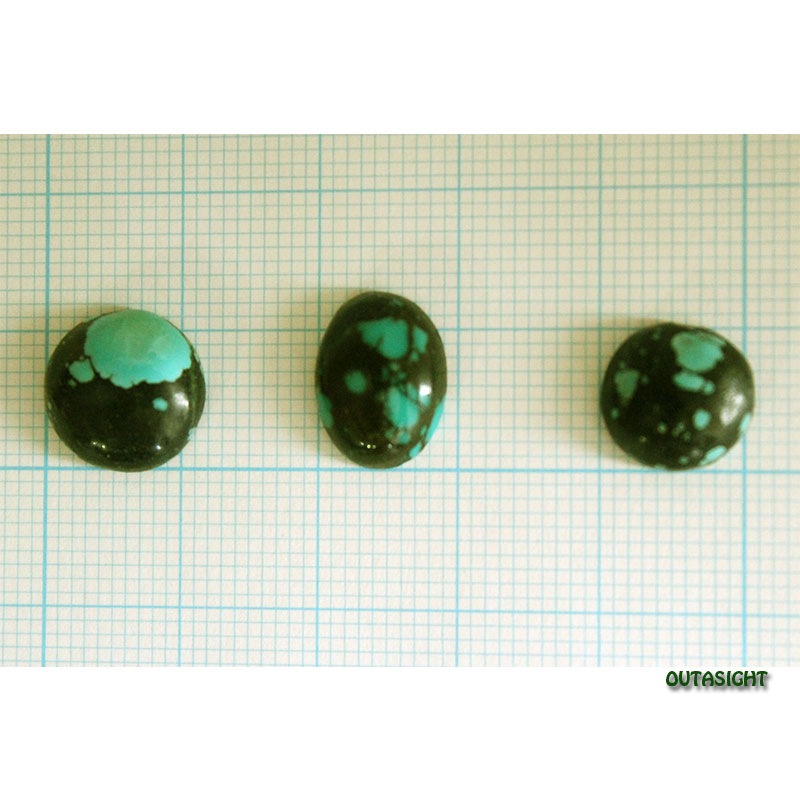 ���٥��󥿡����������롼����ŷ���С�3�İ��� IST-219