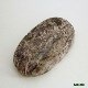 ������饤��/Charolite���롼����ŷ���С�IST-03