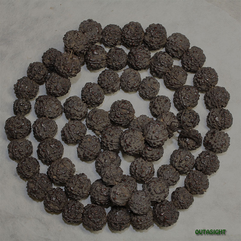 ��ɥ饯���㡡������μ°�Ϣ������ƥ��������ͥѡ��� 10011202C