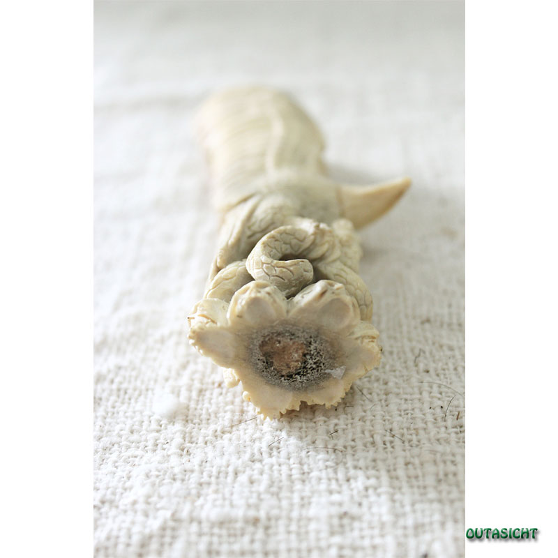 ����Ħ�ꡡ�������롡����ɥͥ�����INNO-29