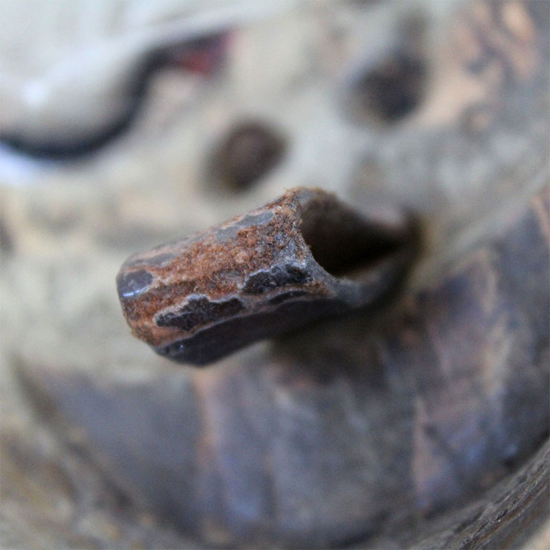 ��Ħ��ޥ���(����)��������ơ�����������硡����ɥͥ�����INAM-14