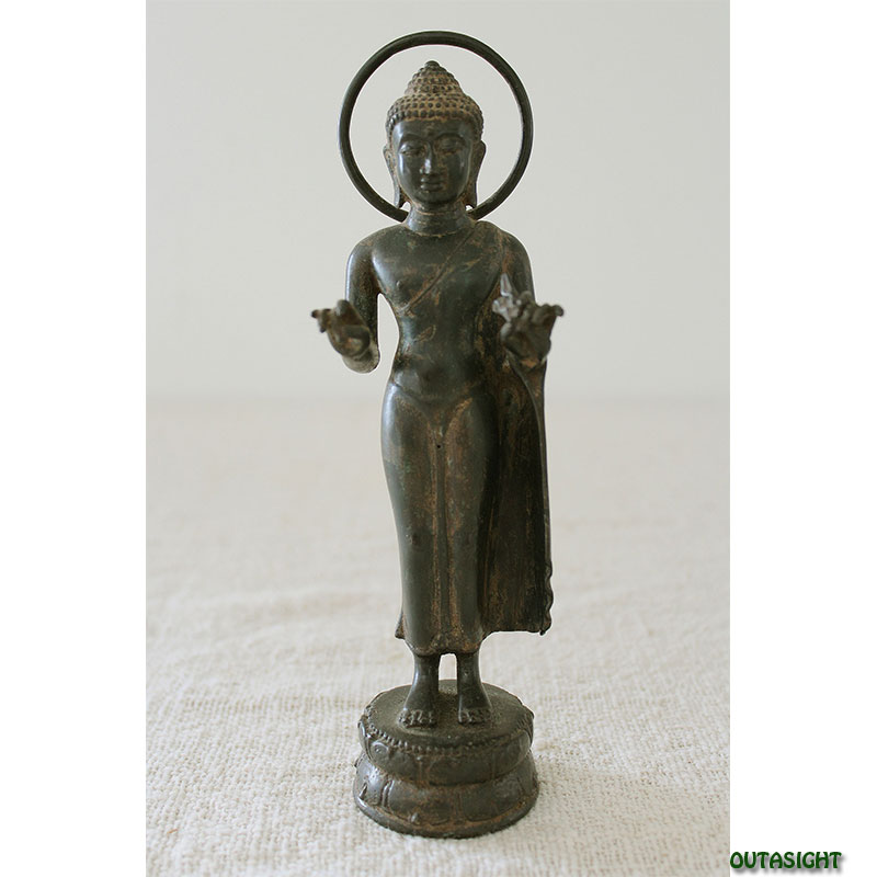 ֥å () Ω ֥󥺡硡ɥͥINAS-14