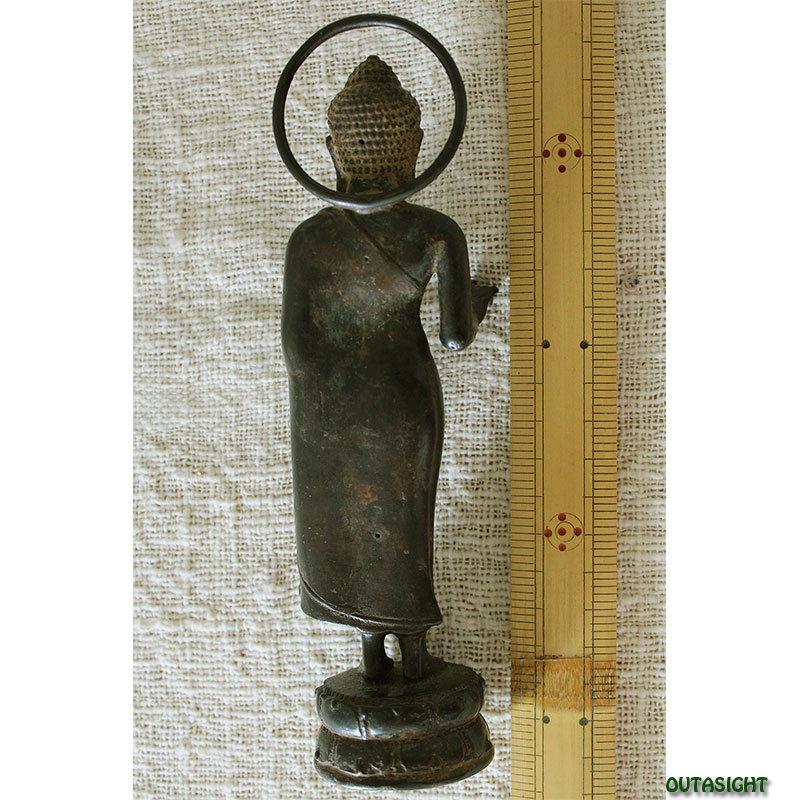 ֥å () Ω ֥󥺡硡ɥͥINAS-14