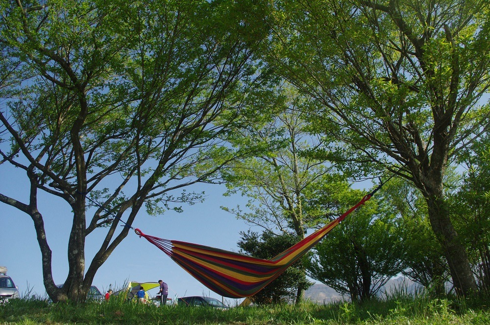 �ϥ��å� �������������å�