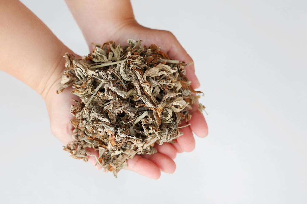 王朝よもぎ（8包入り）