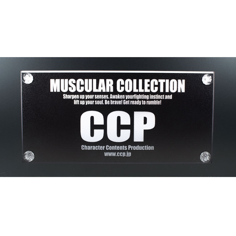 ABOVE ALL DISPLAY���쥮��顼 �ڥ������ޥ�CCP���ե�������ǥ��