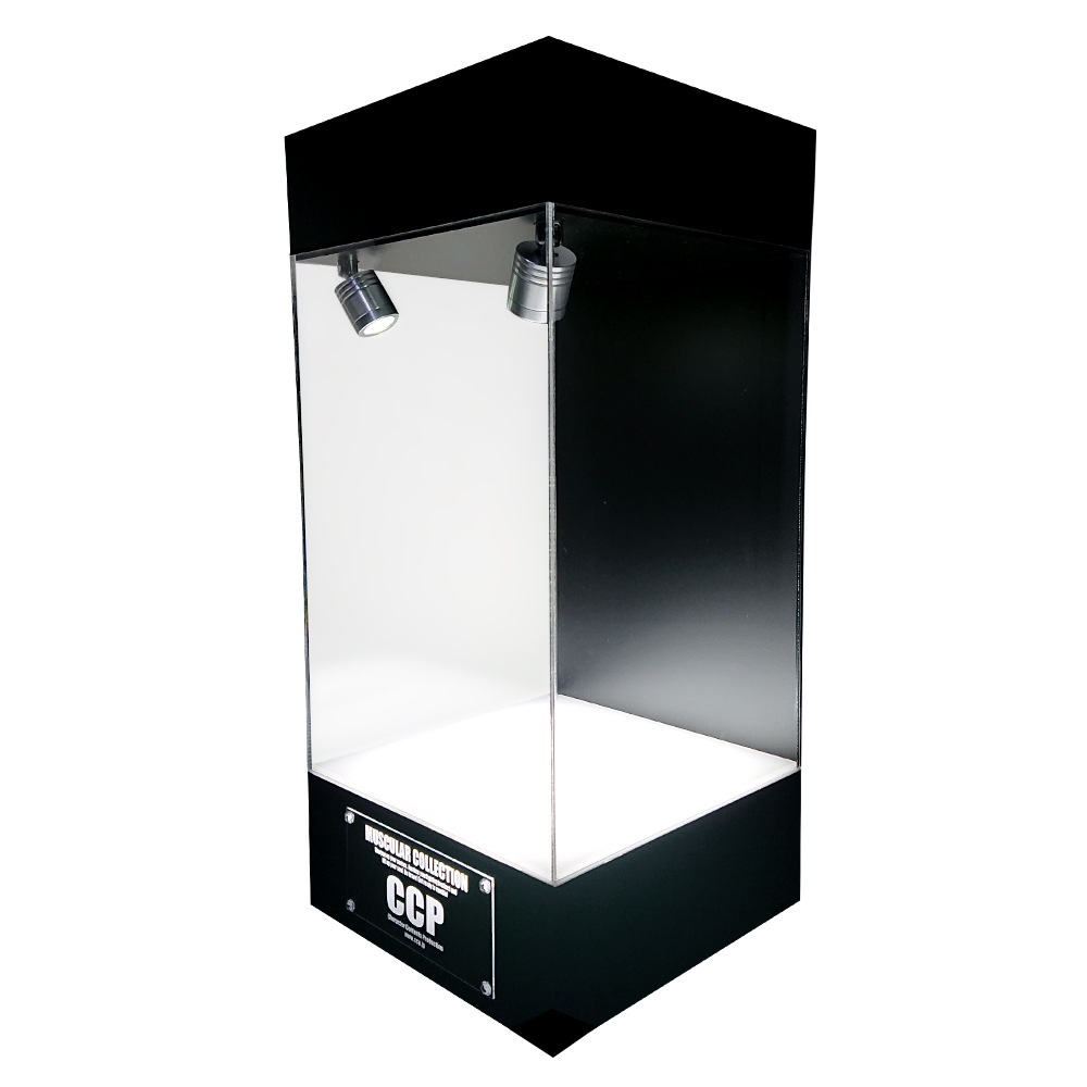 ABOVE ALL DISPLAY������ȥ꡼ �ڥ��ݥåȥ饤����ܥ�ǥ��