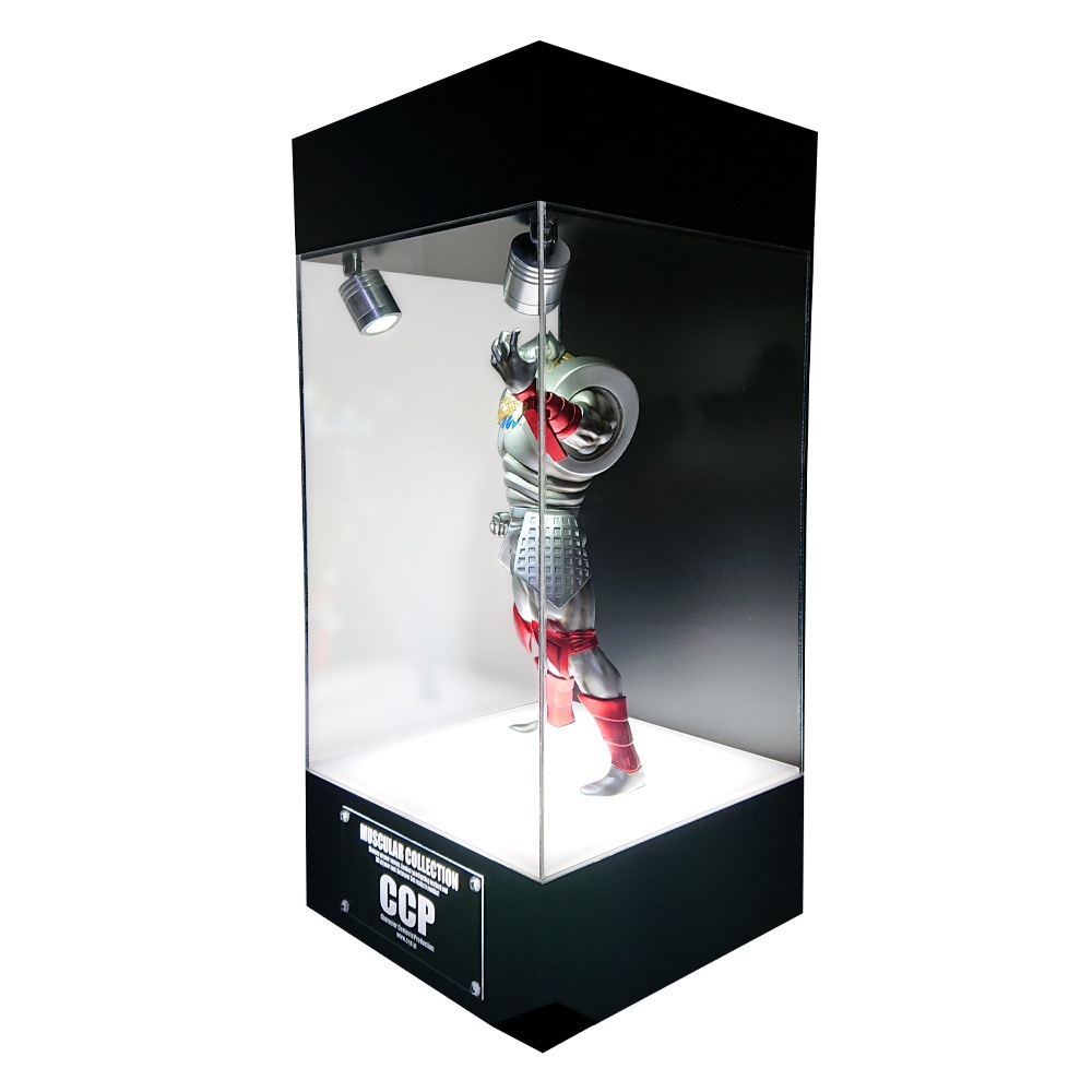 ABOVE ALL DISPLAY������ȥ꡼ �ڥ��ݥåȥ饤����ܥ�ǥ��