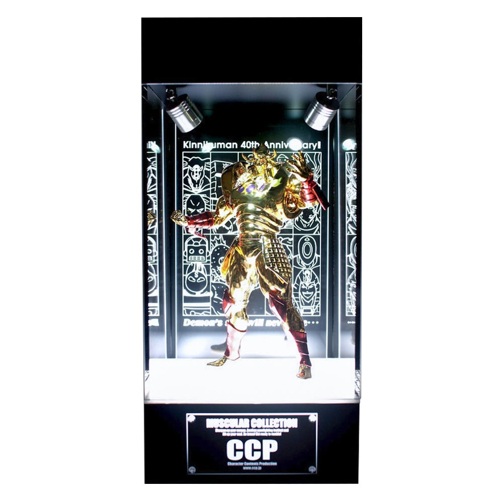 ABOVE ALL DISPLAY���쥮��顼 �� �������ޥ�����ǥ�����ʡְ���Ķ�ͽ���ס˥�ǥ��