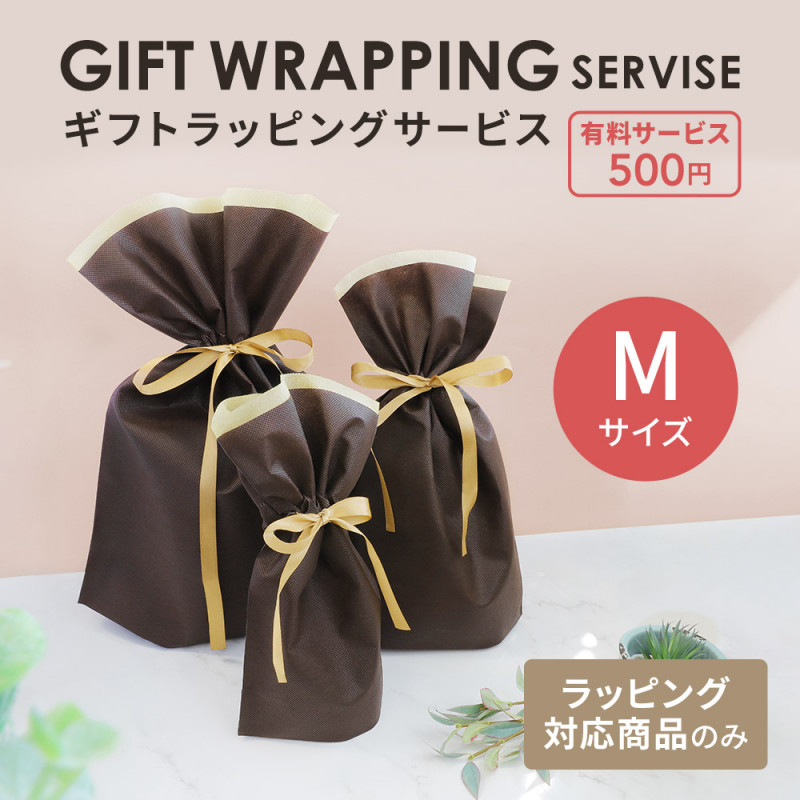 եȥåԥԿ۶ M ñʹԲ (OEC-WRAPSERVICE-M)