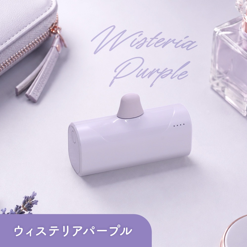 【販路限定】5000mAh 最大12W出力 Lightningコネクタ直挿しモバイルバッテリー OEC-LPB5019LD
