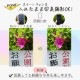 ���ޥۤ����줿�ޤ޼̿�����OK IP68���� ���ޡ��ȥե����� �ɿ奱���� �������饫�顼 Water Proof Case (OWL-WPCSP18)