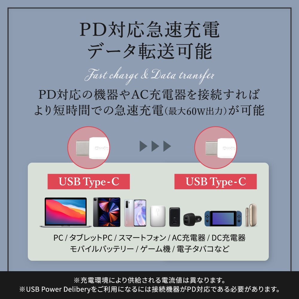 PDб 륭åǤޤˤ USB Type-C to USB Type-C եȥꥳ󥱡֥ 2m  (OEC-CBSCC)