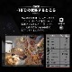 冷蔵&冷凍庫「ICECO」20リットルモデル(T20S)