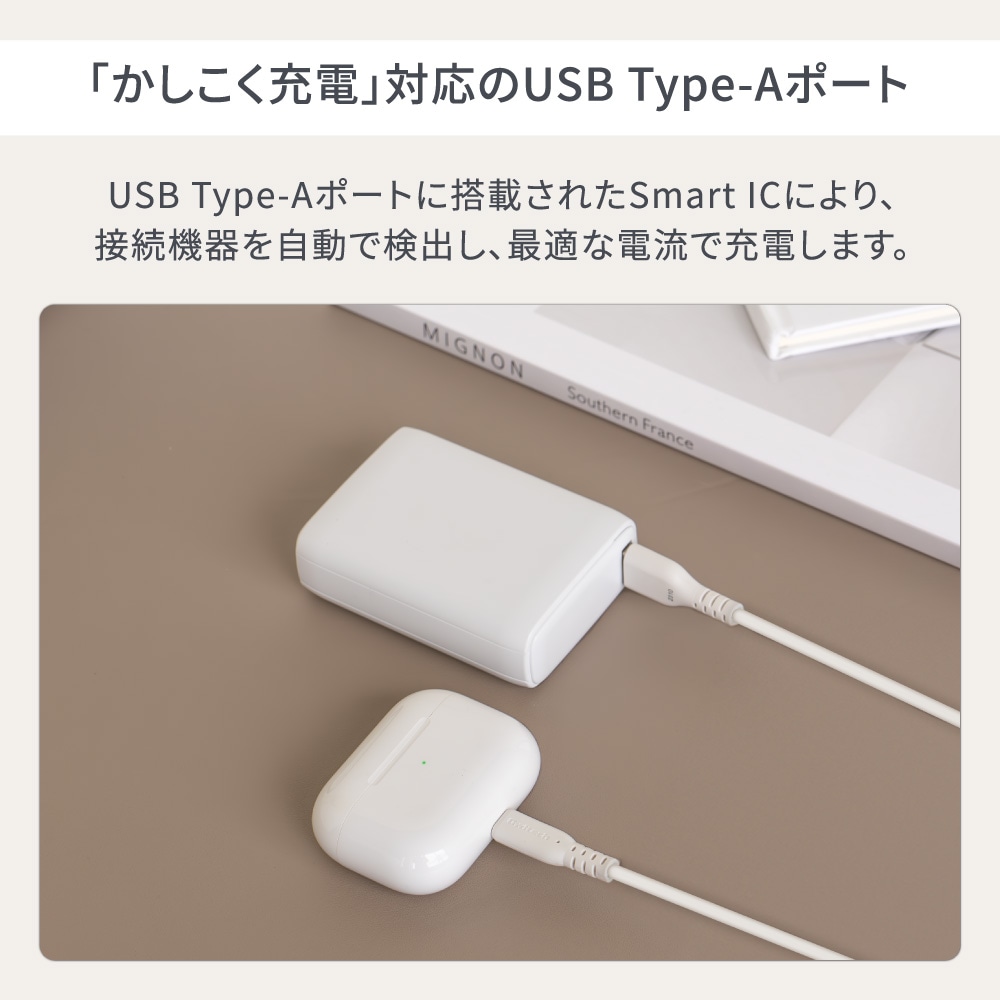 �ڥ����ȥ�åȡ�10000mAh ����PD30W�б� USB Type-C�����ϡ�USB Type-A���� ��Х���Хåƥ꡼ (OWL-LPB10020)