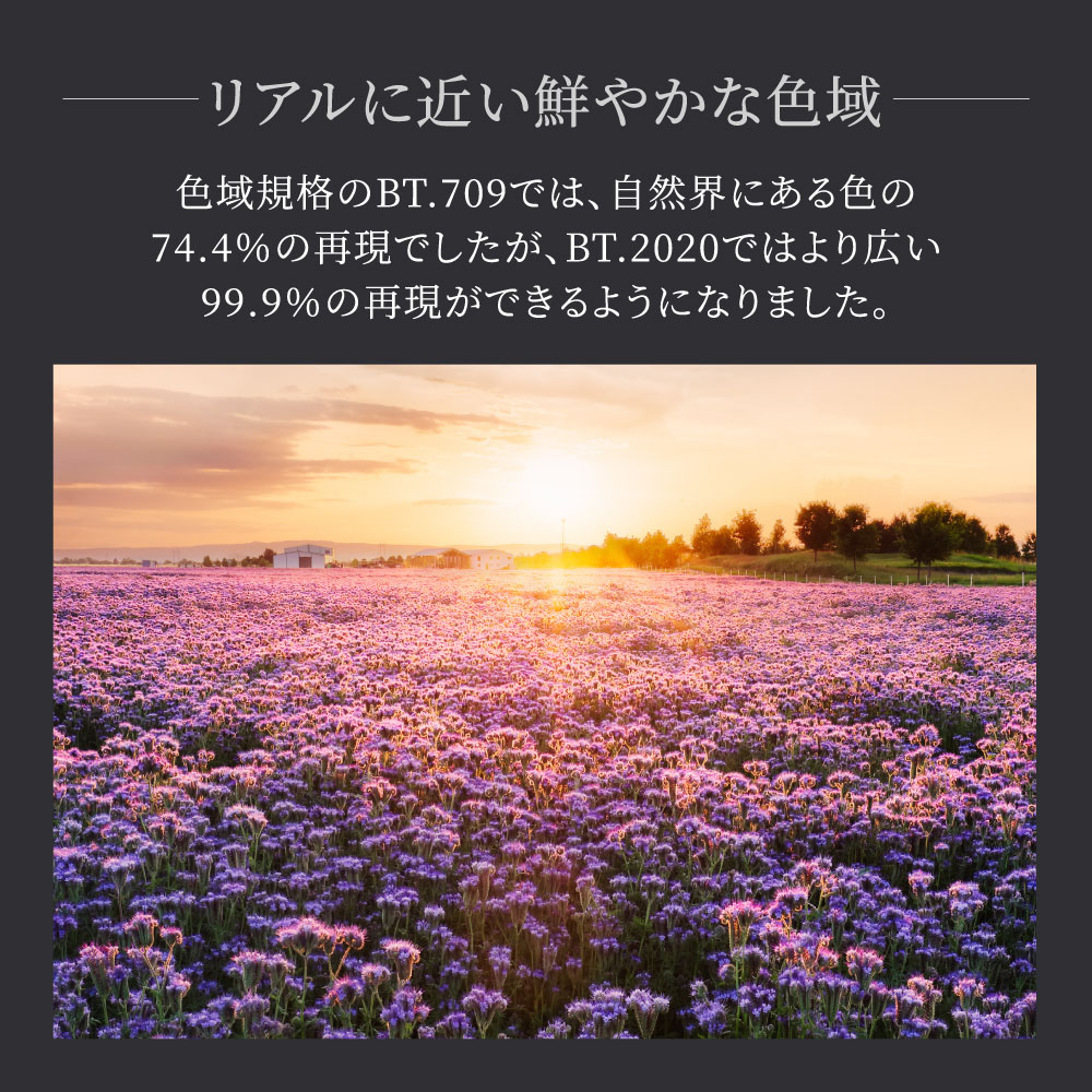 Ultra High Speed HDMI(R) Cableǧڼ 衿ͥåб HDMI Type-A to Type-A ֥ (OEC-CBHDAA)