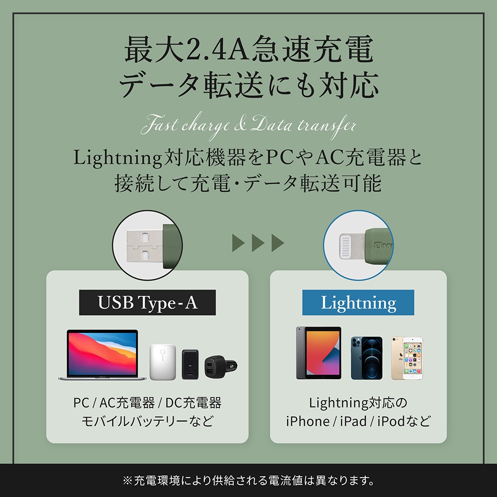 륭åǤޤˤ USB Type-A to Lightning եȥꥳ󥱡֥ 1m (OWL-CBSAL10)ڤޤȤ㤤оݡ