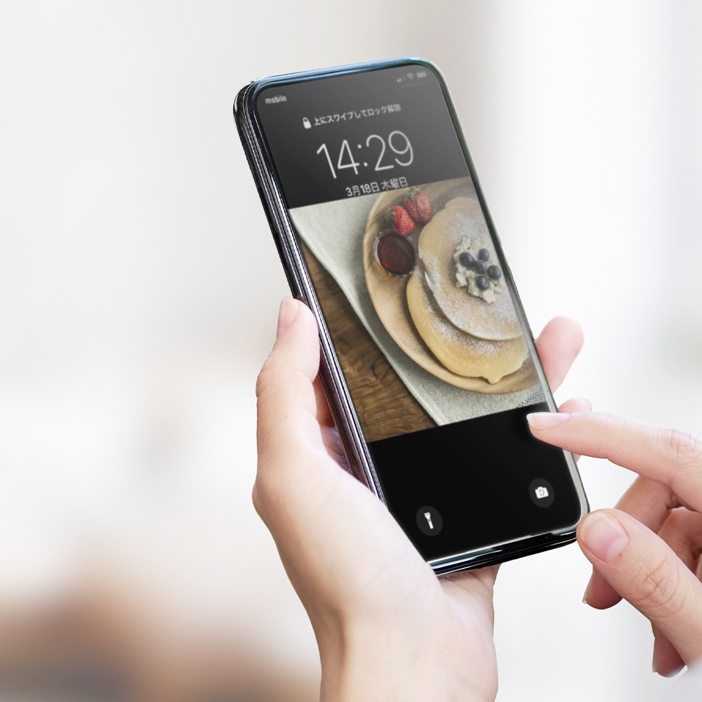 �������륹������ RIKEGUARD �ե���ॷ���� ���� ������ (OWL-RSTRA4-AN)