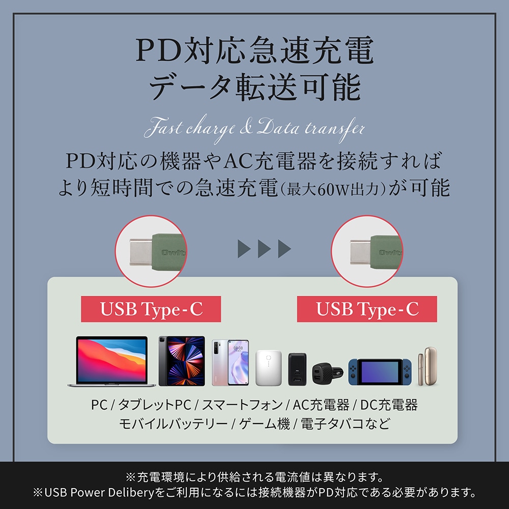 PD�б� ���륭�����å��Ǥ���ޤ�ˤ��� USB Type-C to USB Type-C ���եȥ��ꥳ�󥱡��֥� 1m (OWL-CBSCC10)�ڤޤȤ��㤤�оݡ�