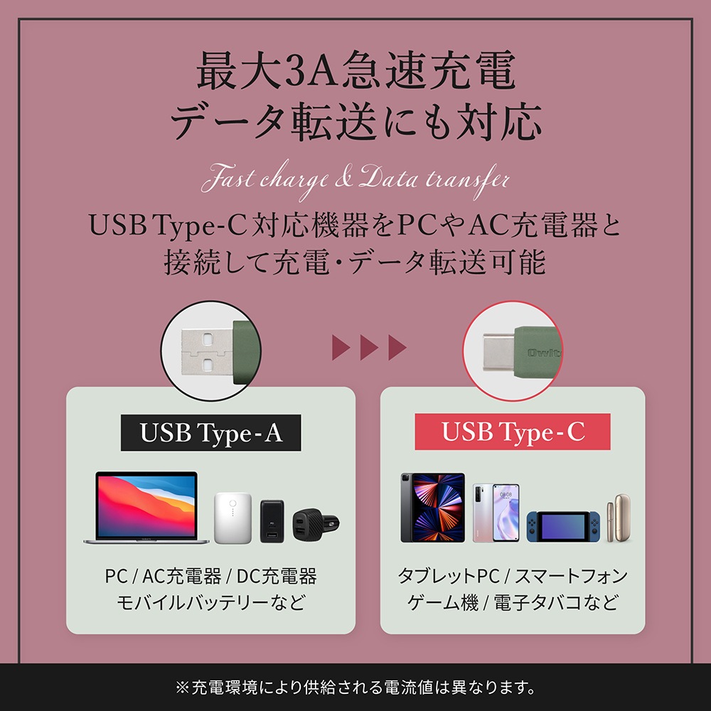 륭åǤޤˤ USB Type-A to USB Type-C եȥꥳ󥱡֥ 2mOWL-CBSAC20