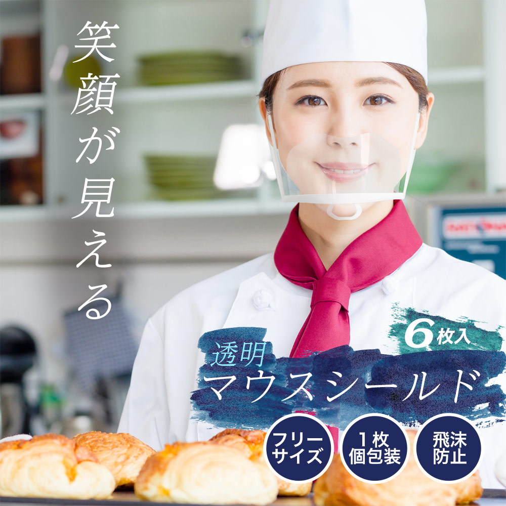 Ƶۤ䤹Ʃޥ 6(LE-MSHIELD-01)