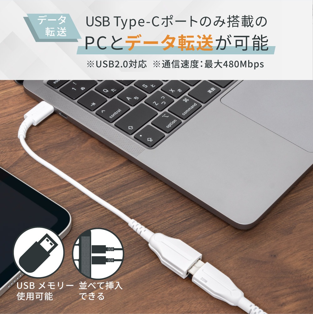 3.0A®šܥǡž USB Type-C to USB Type-A Ѵ֥ (OWL-CBCMAF2)