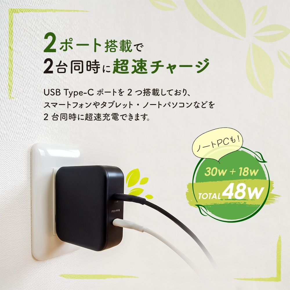 ڥȥåȡPower Delivery-PPSб Ķ® USB Type-C 2ݡUSBŴ (OWL-APD48C2) 