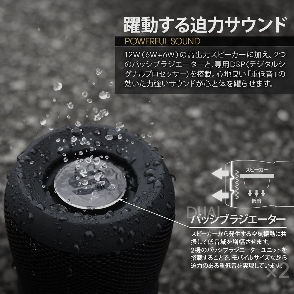 6W + 6W�������Ϥ��ɿ�磻��쥹���ƥ쥪���ԡ�����(OWL-BTSP06)