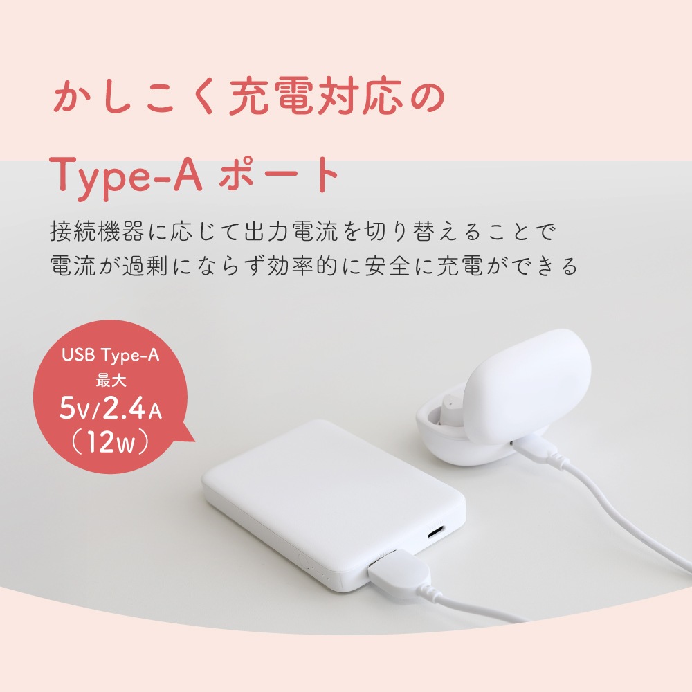 5000mAh ºÇÂç12WÆþ½ÐÎÏÂбþ USB Type-CÆþ½ÐÎÏ¡¿USB Type-A½ÐÎÏ ¥â¥Ð¥¤¥ë¥Ð¥Ã¥Æ¥ê¡¼ OWL-LPB5028