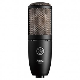 AKG P220