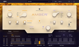 UJAM Virtual Guitarist AMBER 2