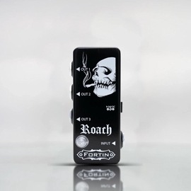 Fortin Amplifaction ROACH