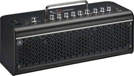 YAMAHA THR30II Wireless TAK MATSUMOTO¨Ǽǽ