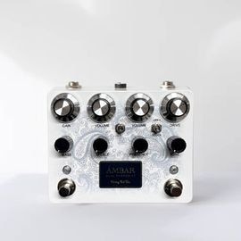 Finding That Tone Ambar White Paisley