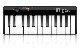 IK Multimedia iRig Keys 25