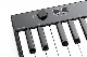 IK Multimedia iRig Keys 25
