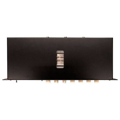 Surfy Industries SURFYBEAR STUDIO EDITION