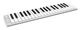 ESI Xkey 37