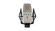 sE Electronics T2