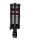 sE Electronics DynaCaster DCM8