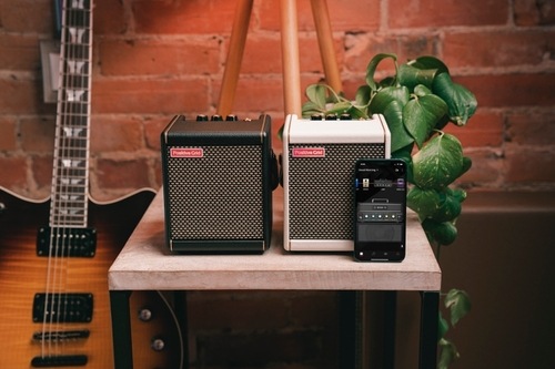 Positive Grid Spark Mini Pearl